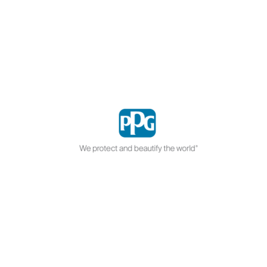 PPG logo on a white background with the tagline 'We protect and beautify the world'.
